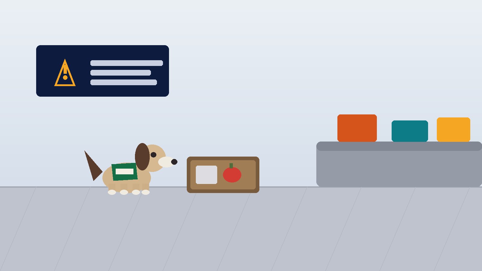 Detector beagle beside luggage at an Australian airport