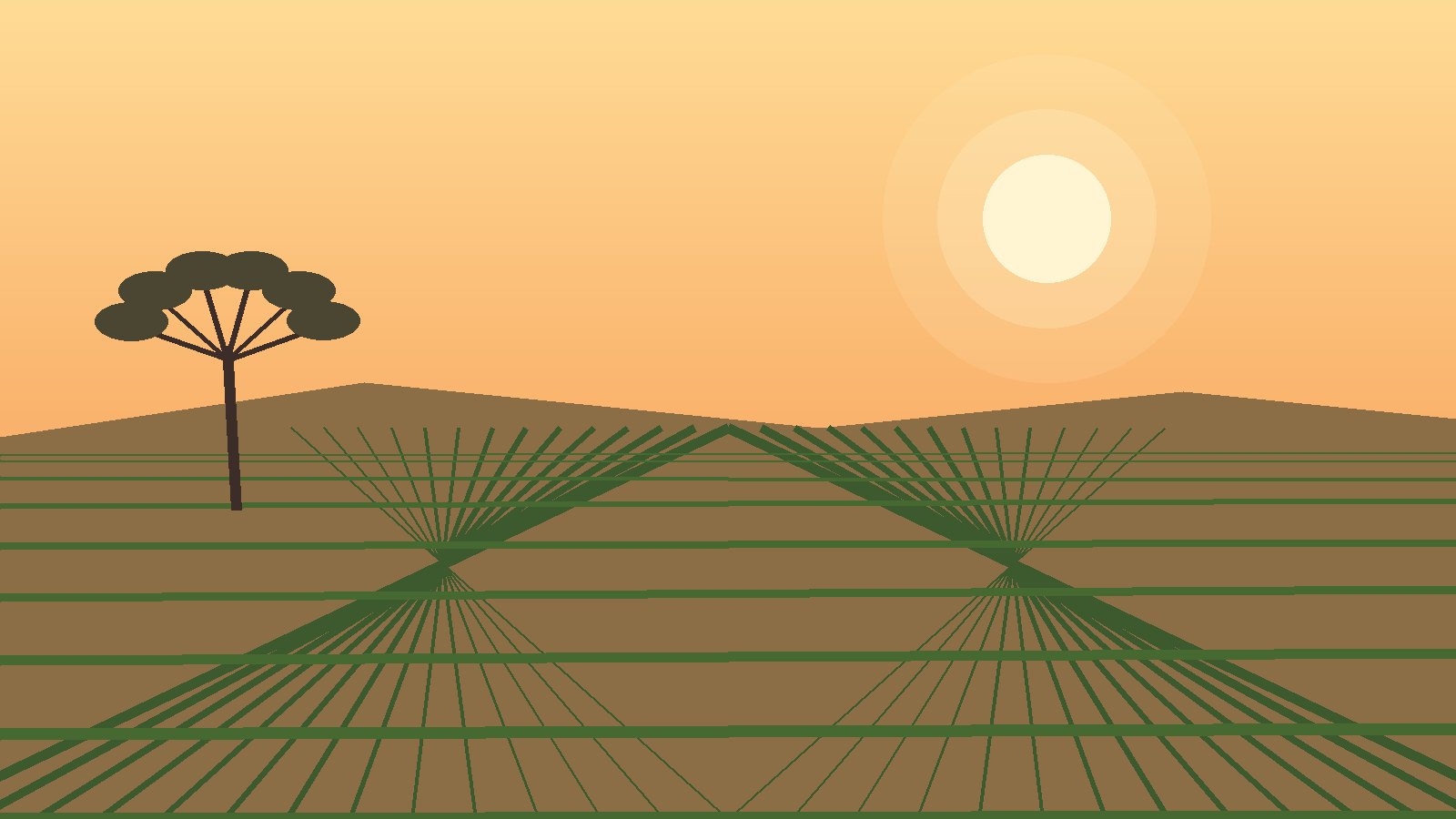 Vineyard rows at golden hour in Western Australia